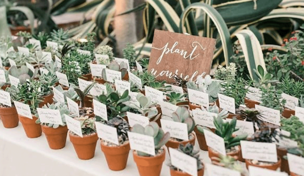 10 Fun And Eco-Friendly Wedding Favors Ideas For A Sustainable Celebration