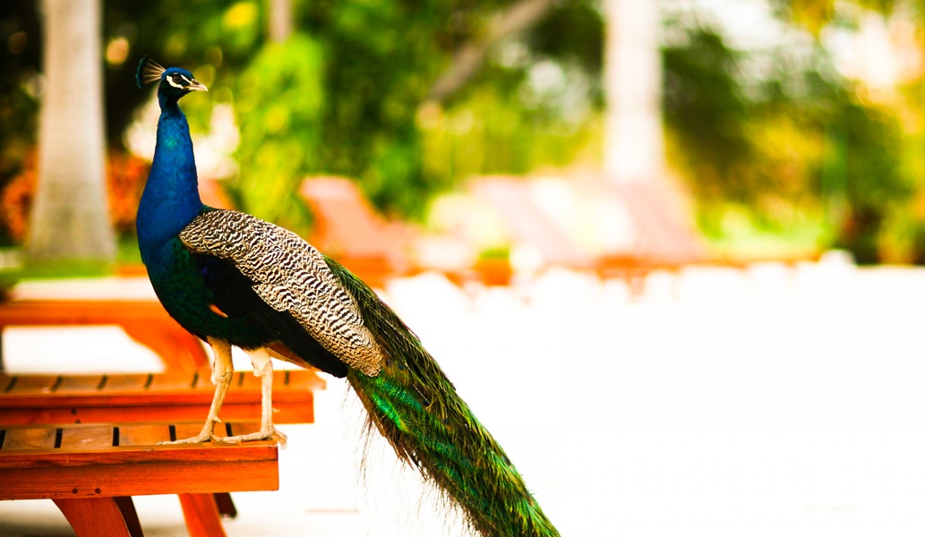Awards & Accolades received by Casa Velas Hotel, Puerto Vallarta